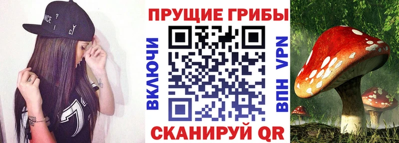 Псилоцибиновые грибы мицелий  OMG онион  Николаевск-на-Амуре 
